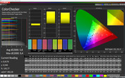 CalMan color accuracy (profile: Auto, color space target: sRGB)