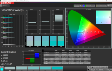 CalMAN color saturation (target color space P3), color profile: Default, vivid