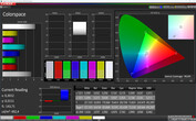 CalMan color space (profile: Warm, color space target: sRGB)