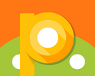 Android P unofficial logo, Android 9.0 Pumpkin Pie developer preview coming mid-March