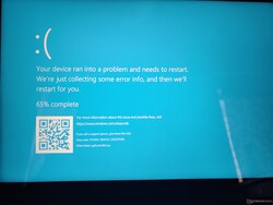 Xe Max drivers often result in a BSOD while playing certain games