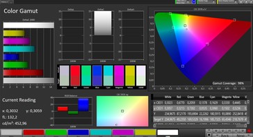 CalMAN: Colour Space – Wide colour gamut profile, DCI P3 target colour space