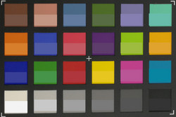 ColorChecker Passport: Target colors are displayed in the lower half of each patch.