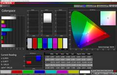Color space (professional mode, target color space sRGB)
