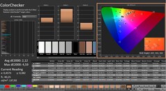 CalMAN: ColorChecker