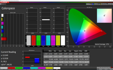CalMAN color space (target color space sRGB), profile: simple