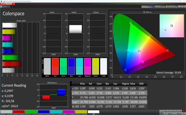 CalMAN color space (target color space AdobeRGB), profile: customizable