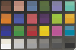 ColorChecker Passport: The target colors are displayed in the lower half of each patch.
