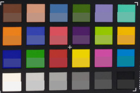 ColorChecker colors: Target colors are displayed in the lower half of each patch.