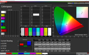 CalMAN: Colour Space – Adaptive profile (Standard): DCI-P3 target colour space