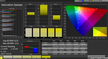 CalMAN: Colour Saturation – Wide colour gamut profile, sRGB target colour space