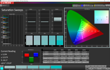 CalMAN saturation sweeps (target color space sRGB), color profile: Gentle, warm