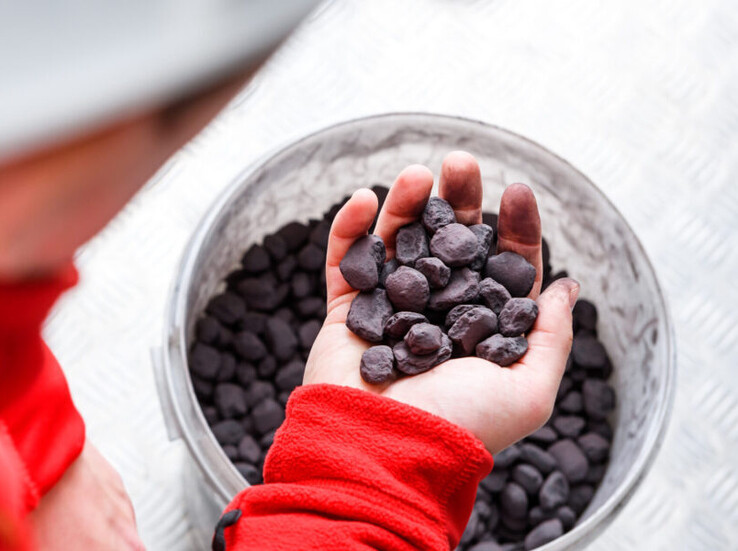 Hydrogen reacts with iron nuggets and stores its energy in the form of iron oxide (Image source: Ambartec)