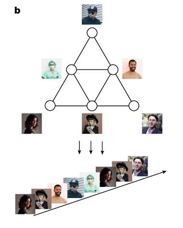 The sequence of stimuli presentation (bottom) corresponded to a random order on a pyramid graph in the test. (Image source: UCLA / Nature)