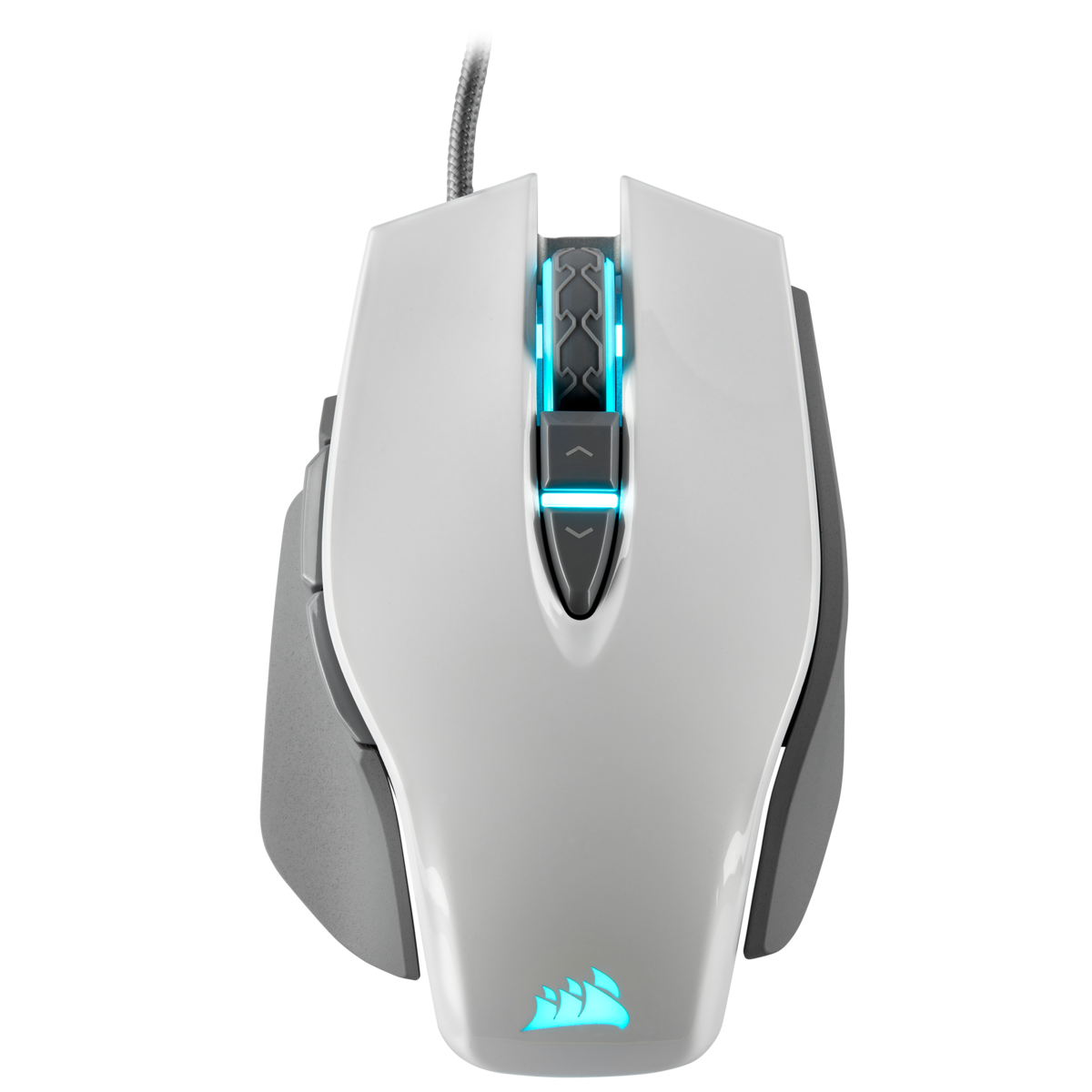 Corsair M65 RGB Elite tunable gaming mouse — Elite features at a competitive price NotebookCheck.net News
