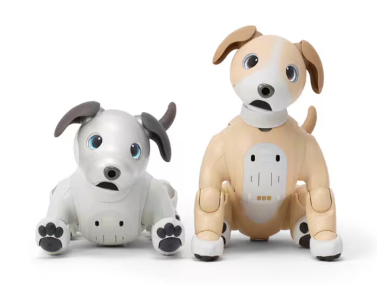 Sony releases Aibo Kinako Edition robotic dog in two-tone light brown and  white - NotebookCheck.net News