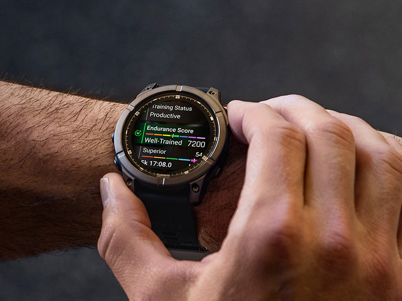 Garmin fenix new online