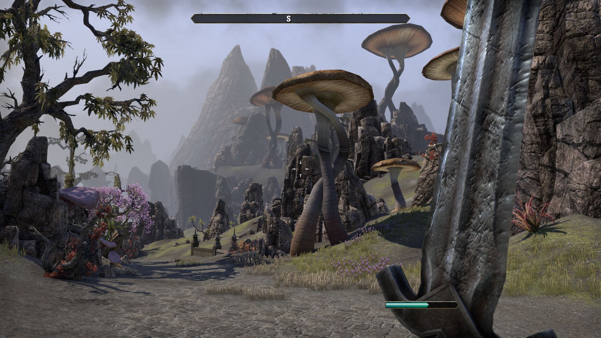 eso frame rate drop
