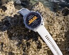 Garmin’s Descent X30 dive computer is receiving the v3.09 update