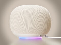 The Google Home speaker is available in four colors, including