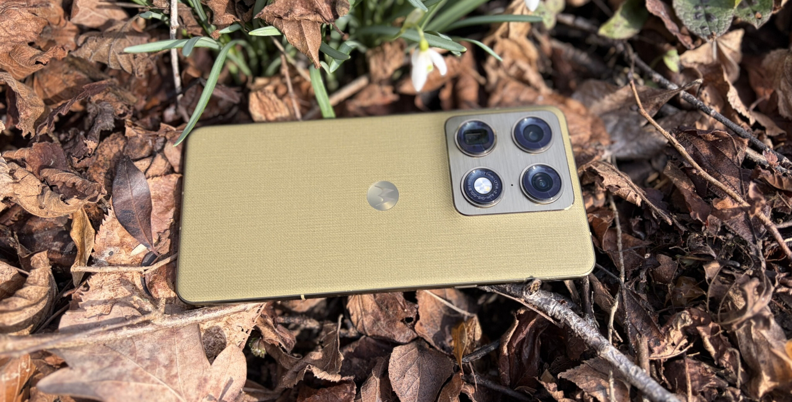 Motorola Signature