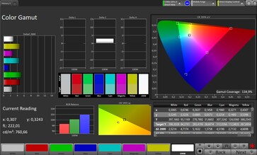 CalMAN color gamut