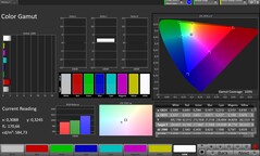 CalMAN color space sRGB