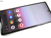 Some Google Pixel 6a users have massive issues after the latest software update (Image source: Notebookcheck)