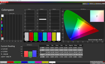 Internal display color space (Profile: Professional, Standard; Target color space: sRGB)