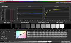 Grayscale (color scheme vivid, color temperature warm, target color space DCI-P3)