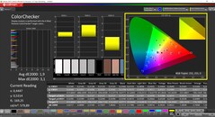 CalMAN ColorChecker (profile: Native, target color space: P3)
