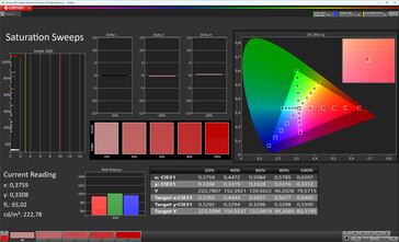 Saturation (color mode: Normal, color temperature: Standard, target color space: sRGB)