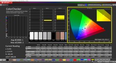 CalMAN ColorChecker (profile: P3, target color space: P3)