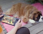 Many gamers still prefer the Steam Deck despite its weaker hardware.