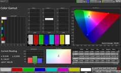 CalMAN Color Gamut