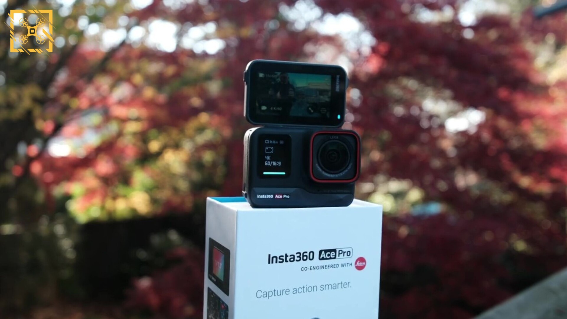 A Month with Insta360 Ace Pro - AI Magic. But Was It a Flop