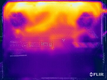 Surface temperatures: Bottom
