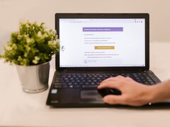 Laptop on a desk showing an open email inbox, with a potted plant beside it.