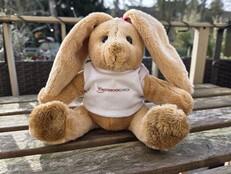 Samsung Galaxy S25 Ultra: Sample photo