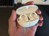 Baseus Inspire XC1 wireless earbuds review: Budget price for Bose sound