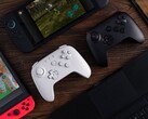8BitDo advises users to update the firmware of their compatible controller before connecting it to the Nintendo Switch 2. (Image source: 8BitDo)