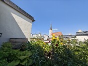 Ultra-wide-angle camera