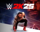 WWE 2K25 banner (Image source: Sony PlayStation, Take-Two Interactive with edits)