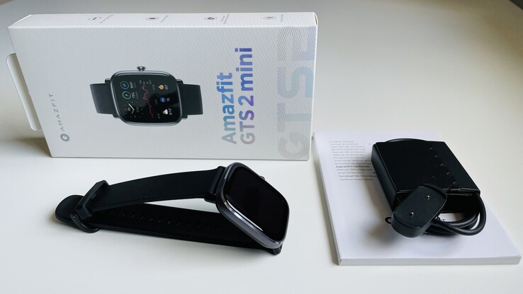Smartwatch Amazfit GTS 2 Mini