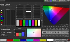 Color space (Profile: Pro, Target color space: sRGB)