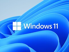 The official Windows 11 branding, serving as the backdrop for Microsoft's new Shared Audio feature.