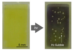 Пузырьки H2 образуются в воде под воздействием солнечного света. (Источник изображения: JAIST)
