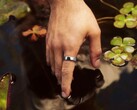 Samsung is developing a new alternative to the Oura Ring 5.