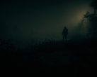 A screengrab of Red Dead Redemption 2 running on PC (image source: Steam Community)