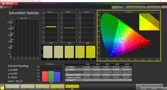 CalMAN saturation (profile: native, target color space: P3)